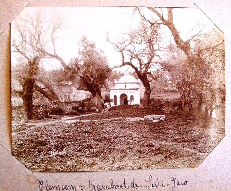 ALGERIE LES ANNEES 1900 (16).jpg